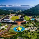 산청어탕국수 이미지