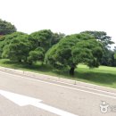 뉴코리아 컨트리클럽 이미지