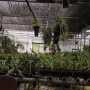 미란농장 이미지