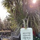 선영다방