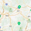 포은로 은행나무길 이미지