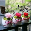 2019-주105 이미지