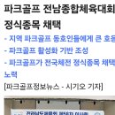 파크골프 정식종목채택 이미지