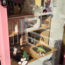 바니의 식탁 이미지