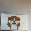 마음을 쓰다듬는 독서 이미지