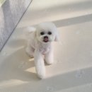 몽실멍실 이미지