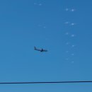 스타벅스 을숙도강변DT 이미지