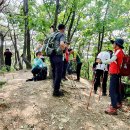 2022.06.19(일) 충북 영동 갈기산~월영산 이미지