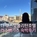 파운틴스튜디오 - 마포구 동교로8길 39 | 더 코스모폴리탄 호텔(The Cosmopolitan) - 테라스 스튜디오 파운틴뷰 - 숙소 후기 내돈내산 분수뷰
