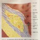 브랜드짐 이미지
