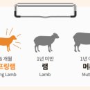 화교양고기