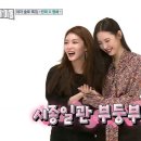 댄스스포츠(주간) 이미지