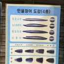 목동장어타운 이미지