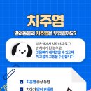 해온동물의료센터 이미지