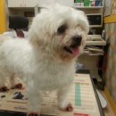 연풍4리 이미지