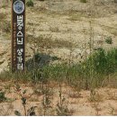 문내 우수영초등학교 이미지