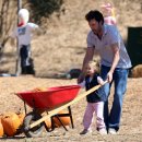 호박농장 이미지