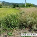 양도면-5 이미지