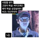 맥시바이트 | 2022년 2월 비건지향 일상(비건초코볼, 밀카다미아, 비건파스타, 비건감자스프)