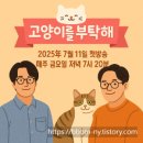 뽀야 | &#39;고양이를 부탁해&#39; 부활! 2025년 방송일정, 김명철 수의사와 뽀야 키운 집사의 리얼 후기