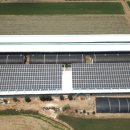 운산 태양광발전소 이미지