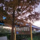 화명오토캠핑장 | 부산 화명오토캠핑장 e사이트 루프탑텐트 캠핑