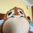 동경횟집 이미지