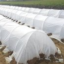 일석이조 이미지