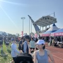달담구리 | 2025 거제섬꽃마라톤, 6개월 아기와 10km 마라톤 완주 후기 👶🏻 , 유모차런