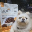 파트너 소프트 | 노령견을위한 무마진 소프트사료 오리고기&amp;황태 1kg 급여 후기