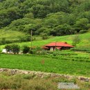 공세울민박 이미지