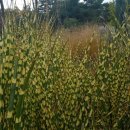 성남시청내 이미지