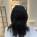 아리엘헤어