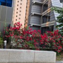 서초성모안과의원 이미지