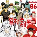 일하는 세포 ( Cells at Work!/はたらく細胞, 2024 ) 이미지