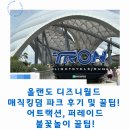 매직월드 | 올랜도 디즈니월드 매직킹덤 후기! 어트랙션, 퍼레이드, 불꽃놀이 꿀팁!