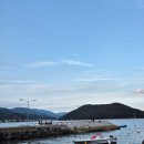 사궁두미 479 이미지