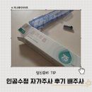 플리트 | 인공수정 플리트롭 자가주사 후기 팁 배주사 위치