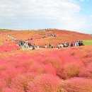 우리들한의원 이미지