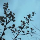 그랜드경희한의원 이미지