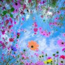 유림세탁 이미지