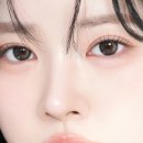 신용사 이미지