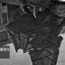 승수정비 이미지