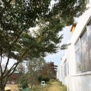 부남농장 이미지