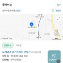 DOGINUS | 도기너스 내돈내산 대만족