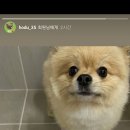 굿데이 동물병원 이미지