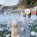 시니어방) 친정 엄마. 이미지