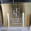 삼천리활성탄소(주) | 불광역다이어트 셀포랩 은뷰티 온열관리 후기