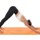 이즈스포츠클럽 이미지