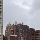 청산가든민박슈퍼 | 호주 시드니 써 스탬포드 앳 써큘러 키 호텔 (오페라하우스근처호텔 추천)